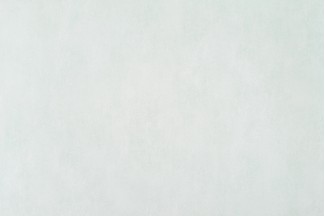 10722-03 Обои дек