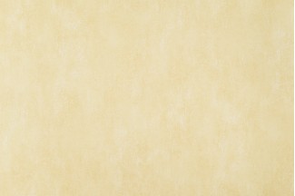 10722-04 Обои дек